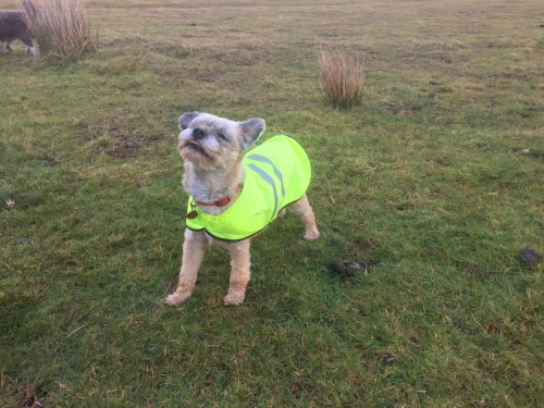 Photo Gallery Image - It was a windy walk! 