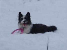 I love playing in the snow!