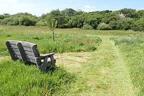 Granary Cottage - meadow