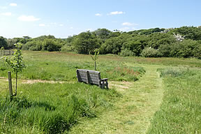 Meadow for use of guests